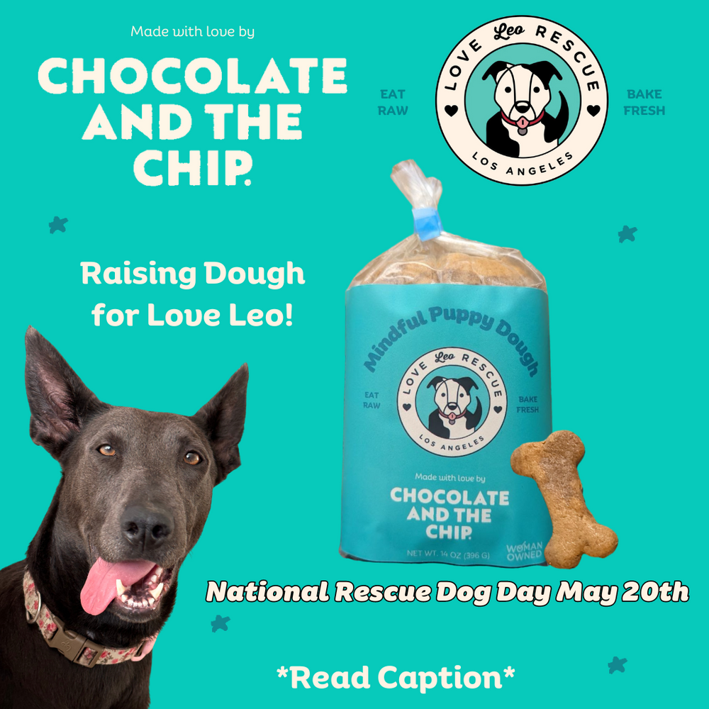 Celebrate National Dog Rescue Day with Love Leo Rescue: A Special Fundraiser