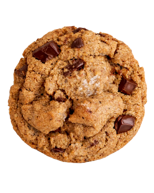 Chocolate chip cookie on a white background